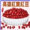 紅寶紅豆