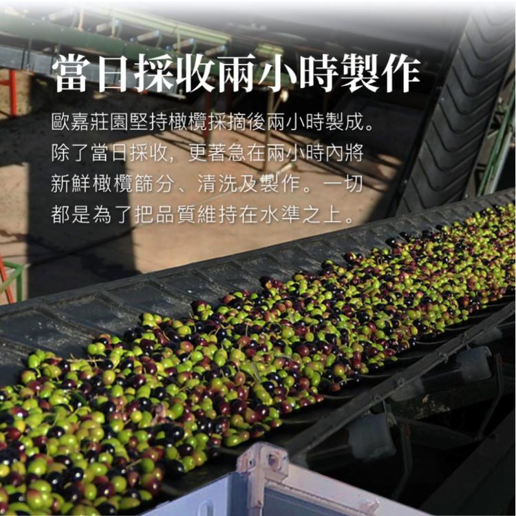 【CASA del AGUA 歐嘉】西班牙特級冷壓初榨橄欖油 莊園職人款250ml