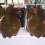 鹽水雞1隻(約3斤半) 新鮮溫體雞肉
