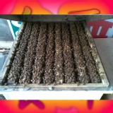 授粉蜜蜂 蜂種 整箱蜜蜂銷售 八框一蜂王含箱子