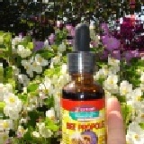 加拿大無酒精蜂膠 提高免疫不怕流感(買5送1) 特價：$400