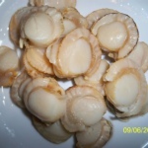 ~~帆立貝~~帶唇熟干貝**大自然野生極品,