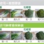 【超強效保鮮】鮮師傅保鮮袋10入。讓綠葉蔬菜保存期長達20天！可微波 無毒 重複使用200次 環保