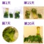 【超強效保鮮】鮮師傅保鮮袋10入。讓綠葉蔬菜保存期長達20天！可微波 無毒 重複使用200次 環保