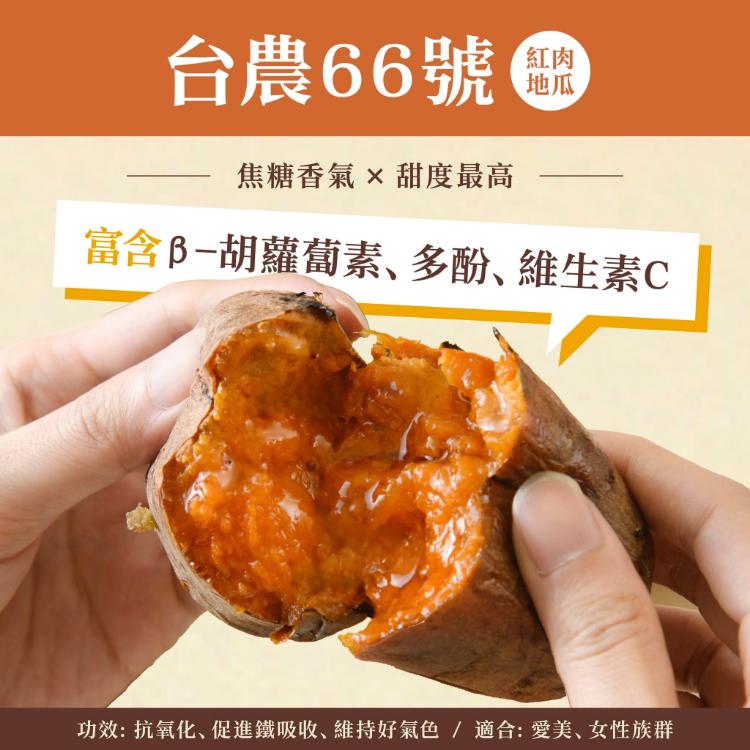 【薯薯樂】台灣冰烤地瓜三色地瓜
