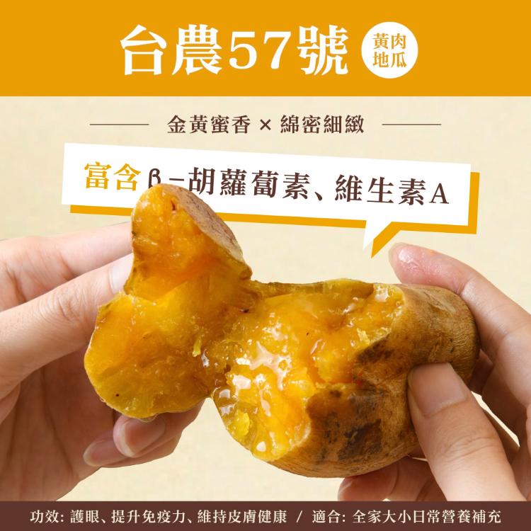 【薯薯樂】台灣冰烤地瓜三色地瓜