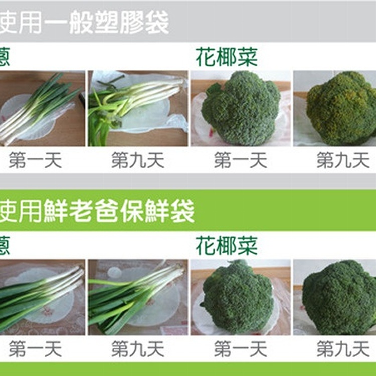 【超強效保鮮】鮮師傅保鮮袋10入。讓綠葉蔬菜保存期長達20天！可微波 無毒 重複使用200次 環保