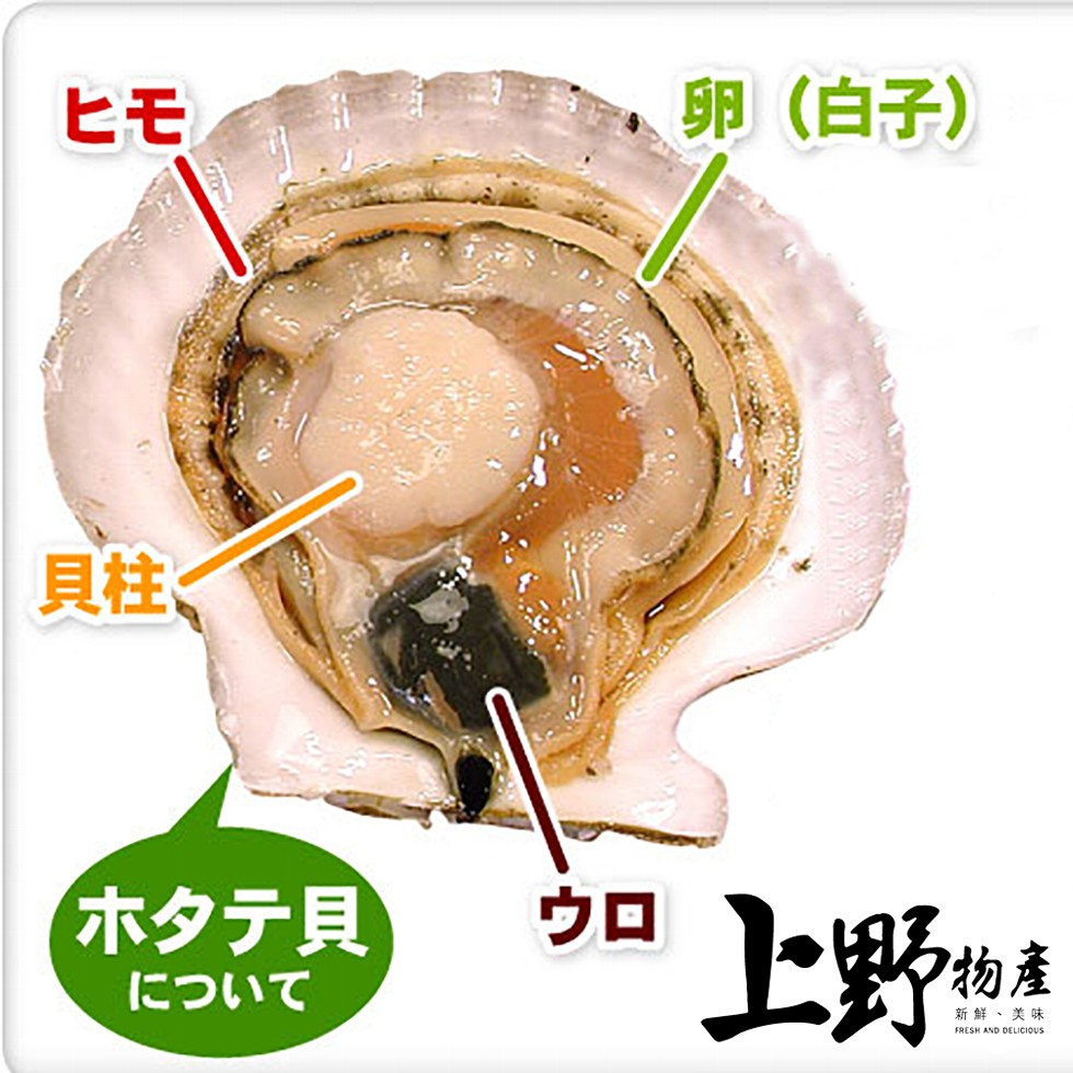 卵(白子)，貝柱く，ホタテ貝，上野。ク物產，について，新鮮、美味。