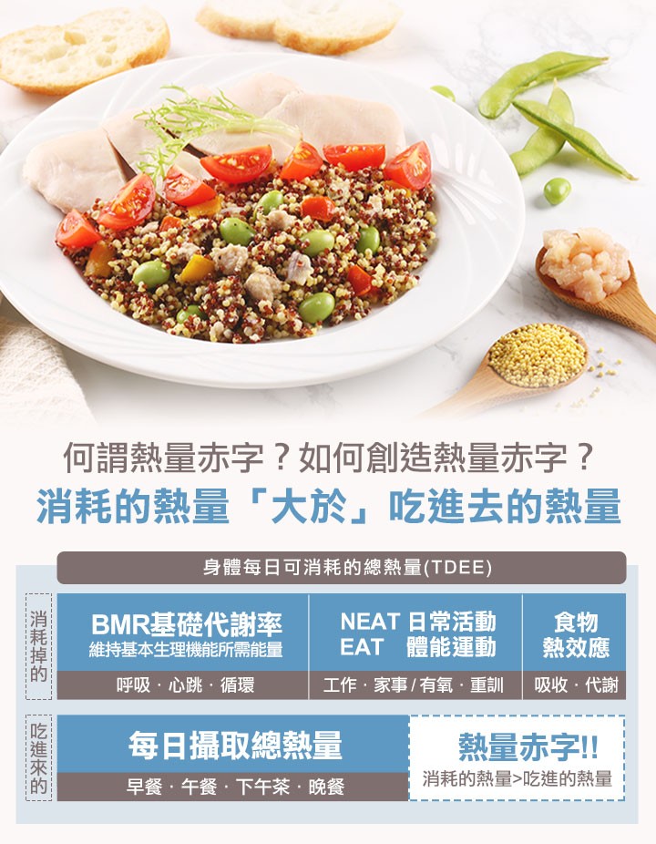 何謂熱量赤字? 如何創造熱量赤字?消耗的熱量大於吃進去的熱量，身體每日可消耗的總熱量(TDEE)，BMR基礎代謝率，維持基本生理機能所需能量，NEAT 日常活動，EAT 體能運動，熱效應，呼吸,心跳,循環，工作,家事/有氧,重訓，吸收,代謝，每日攝取