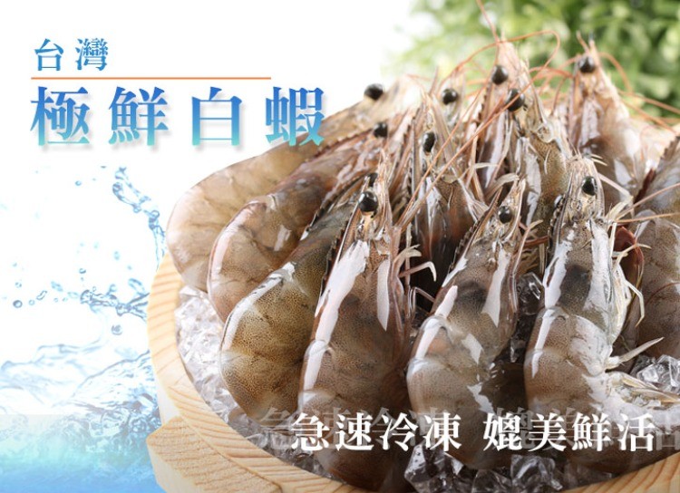 極鮮白螺，念急速冷凍媲美鮮活。