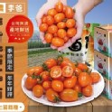 美濃李爸特甜橙蜜番茄