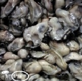 【青蚵小舖】鮮蚵現撈現剝新鮮宅配到家。自產自銷鮮度百分百 蚵仔肥嚕~開始販售