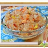 鮭魚什錦炒飯-100g -一歲以上的軟嫩炒飯
