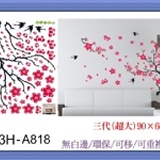 3H-A818 ☆╮一等獎 壁貼 批發╭★ 90×60cm 第三代 環保 無痕 無白邊 重複貼 特價：$75