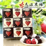 馬湛農場-綜合水果巧克力.九入裝 草莓白巧+草莓黑巧