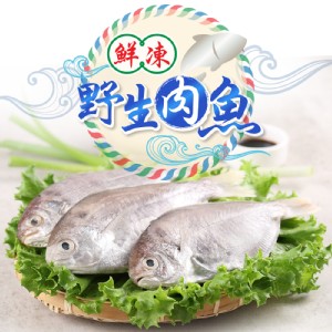 免運!【真美味】鮮凍野生肉魚(2尾一包) 180g/包 (30包60尾，每尾26.7元)