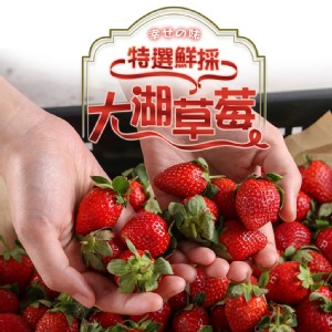 【真美味】特選鮮採大湖草莓