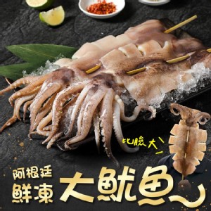 【真美味】阿根廷鮮凍大魷魚