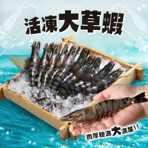 【真美味】極品活凍大草蝦