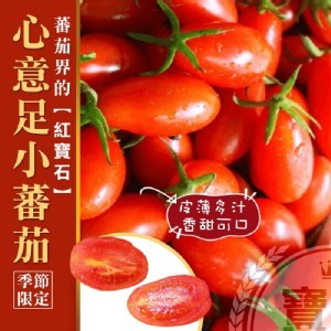 寶島魔神『心意足蕃茄11號』