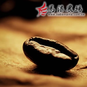 西達摩重焙-香水咖啡豆