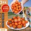 美濃李爸特甜橙蜜番茄