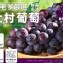 吳老爹-嚴選大村巨峰葡萄