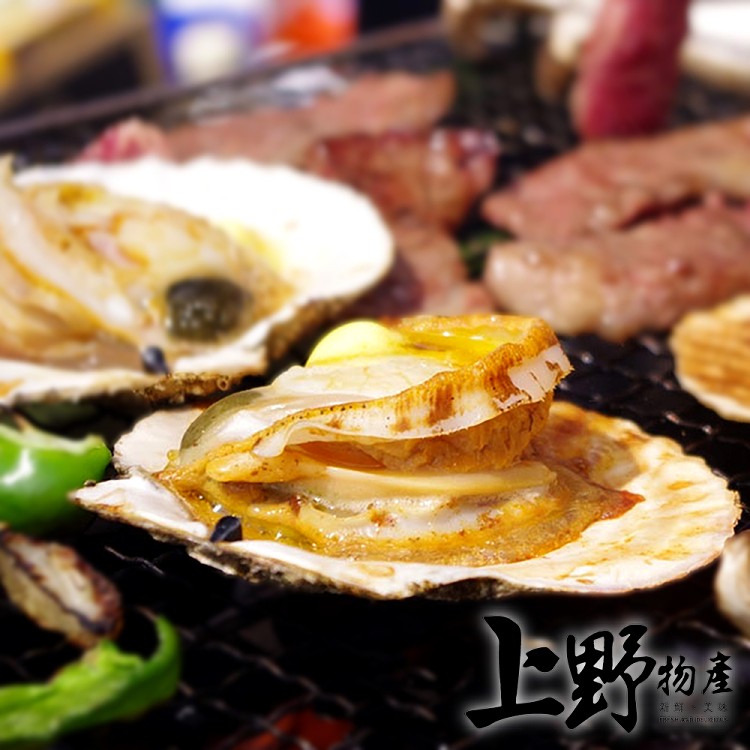 【上野物產】冷凍生鮮帶殼大扇貝