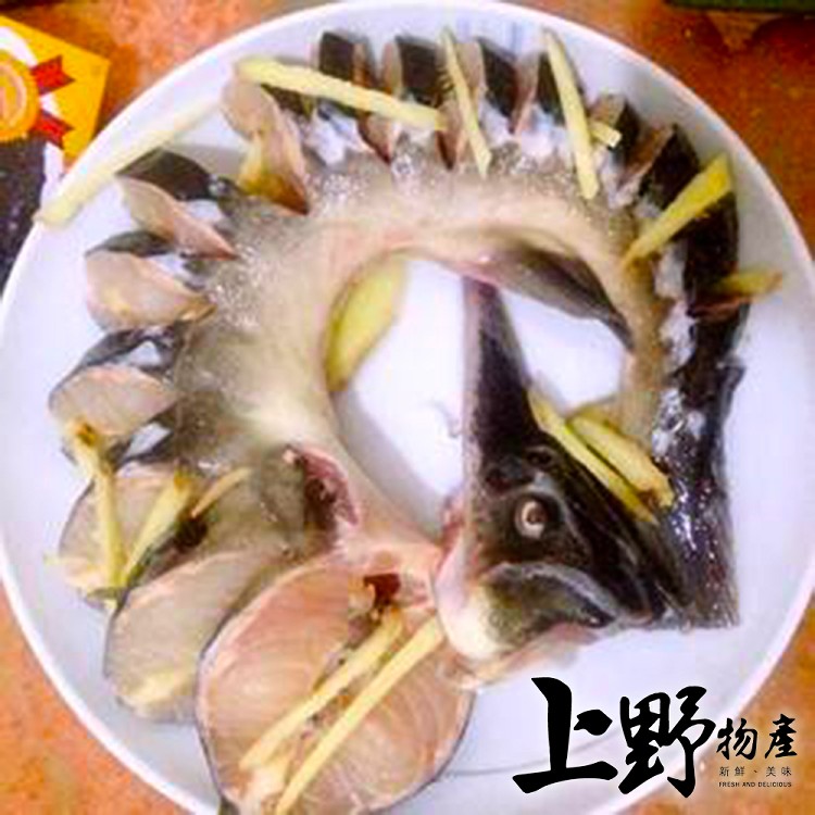 【上野物產】台灣產 鱘龍魚 -下單就送福袋