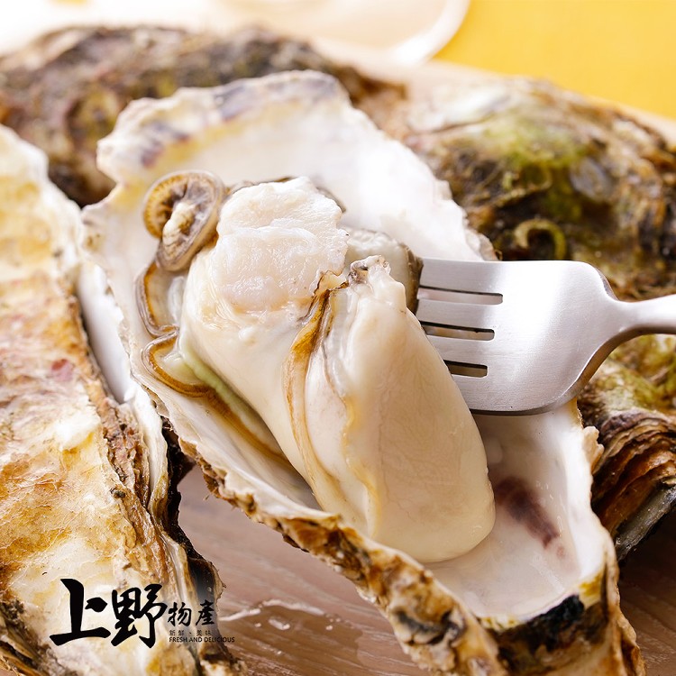 【上野物產】日本廣島進口 牡蠣180g/顆 -下單就送福袋