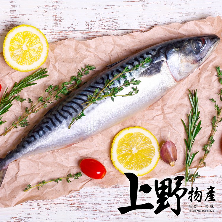 【上野物產】台灣產 宜蘭海域 野生捕撈去頭鯖魚片 -下單就送福袋