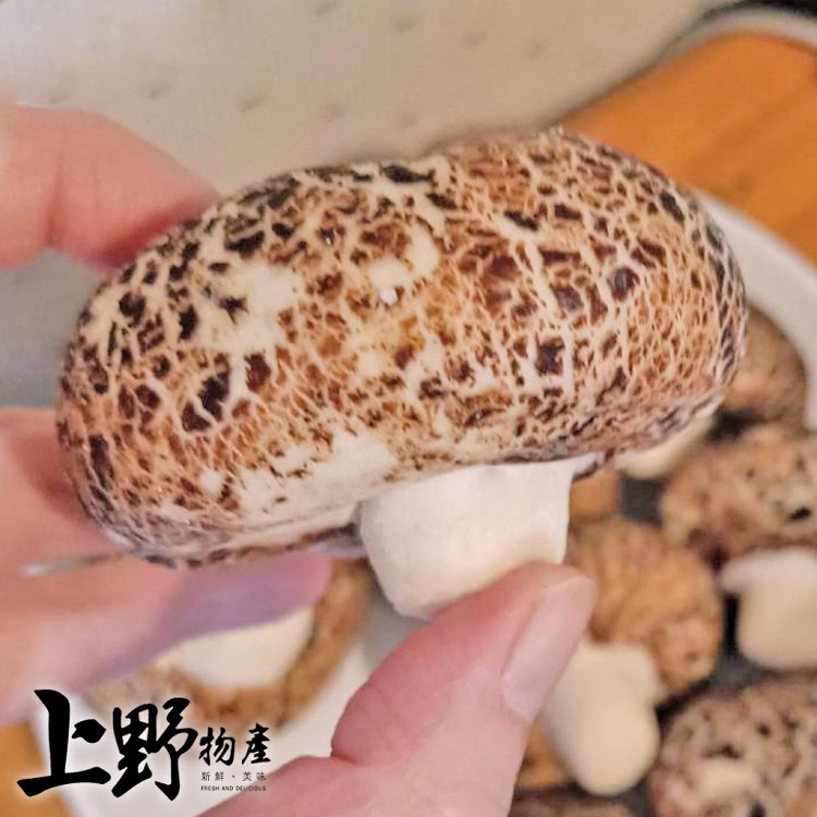 【上野物產】可愛香菇造型芝麻流沙包 1包約10個 港點/港式點心