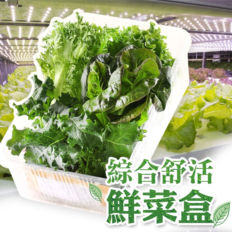 【真美味】綜合舒活鮮菜盒_沙拉盒/蔬菜/零農藥