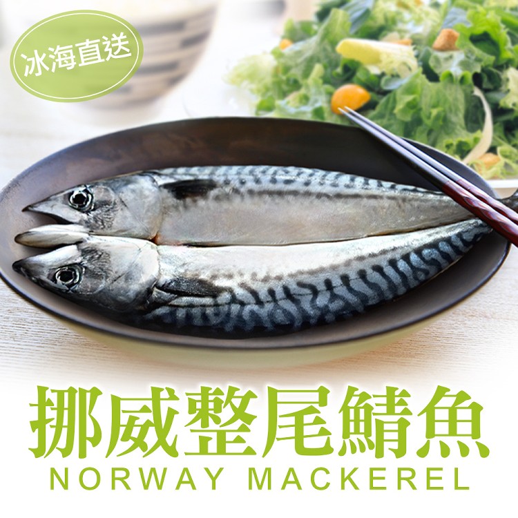 免運!【真美味】4尾 挪威整尾鯖魚290g 260g