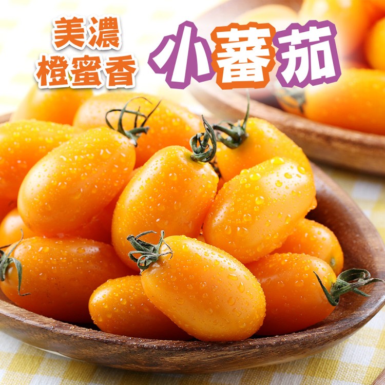 【真美味】預購_美濃鮮採橙蜜香小番茄(小蕃茄)3台斤/箱