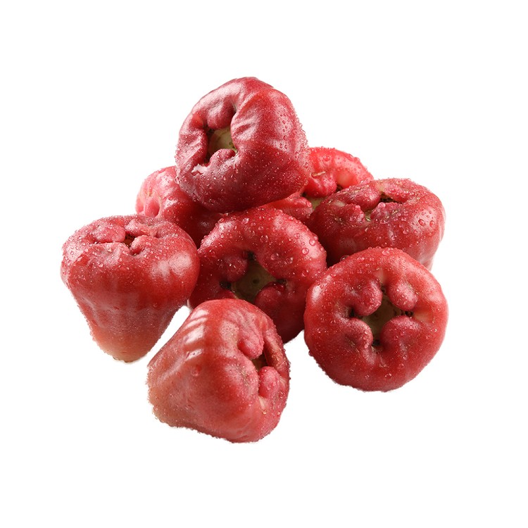 【真美味】預購_神農老饕黑珍珠蓮霧