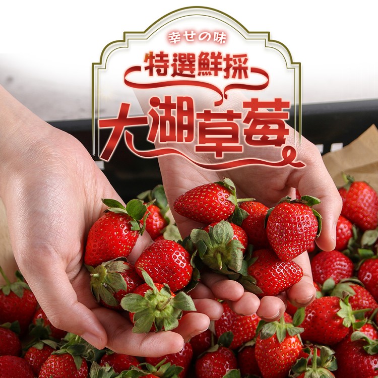 【真美味】特選鮮採大湖草莓