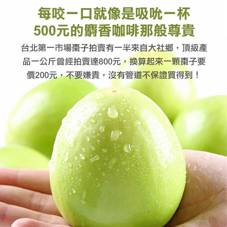 【真美味】預購_老饕級冠軍牛奶蜜棗(產地直送)