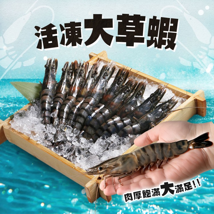 【真美味】極品活凍大草蝦