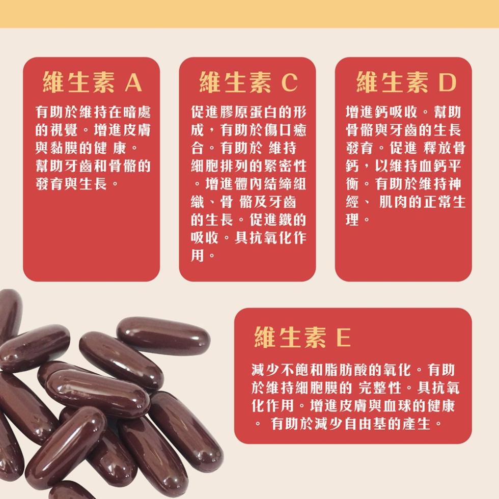 【太市生技】美國進口活力補PLUS+綜合維他命60粒