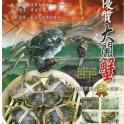 苗栗優質國產大閘蟹 (6兩公蟹)