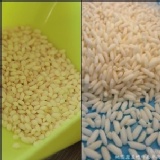 台東關山米~香米~糙米~圓糯~長糯~試吃品 兩碗飯的量~不限數量~不限制一人一份喔~