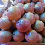 百香果 特價：$1500