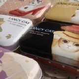 988 CAT貓咪小鐵製收納盒~2012最新 單款隨機出~~