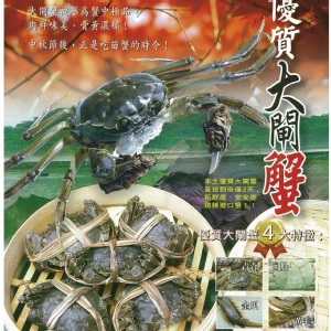 苗栗優質國產大閘蟹 (5兩母蟹)