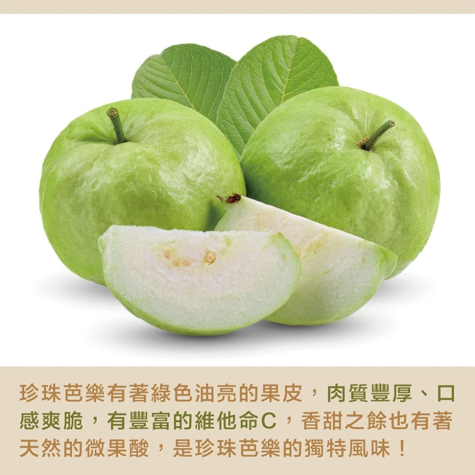 【六龜】六龜產地直送珍珠芭樂-10台斤