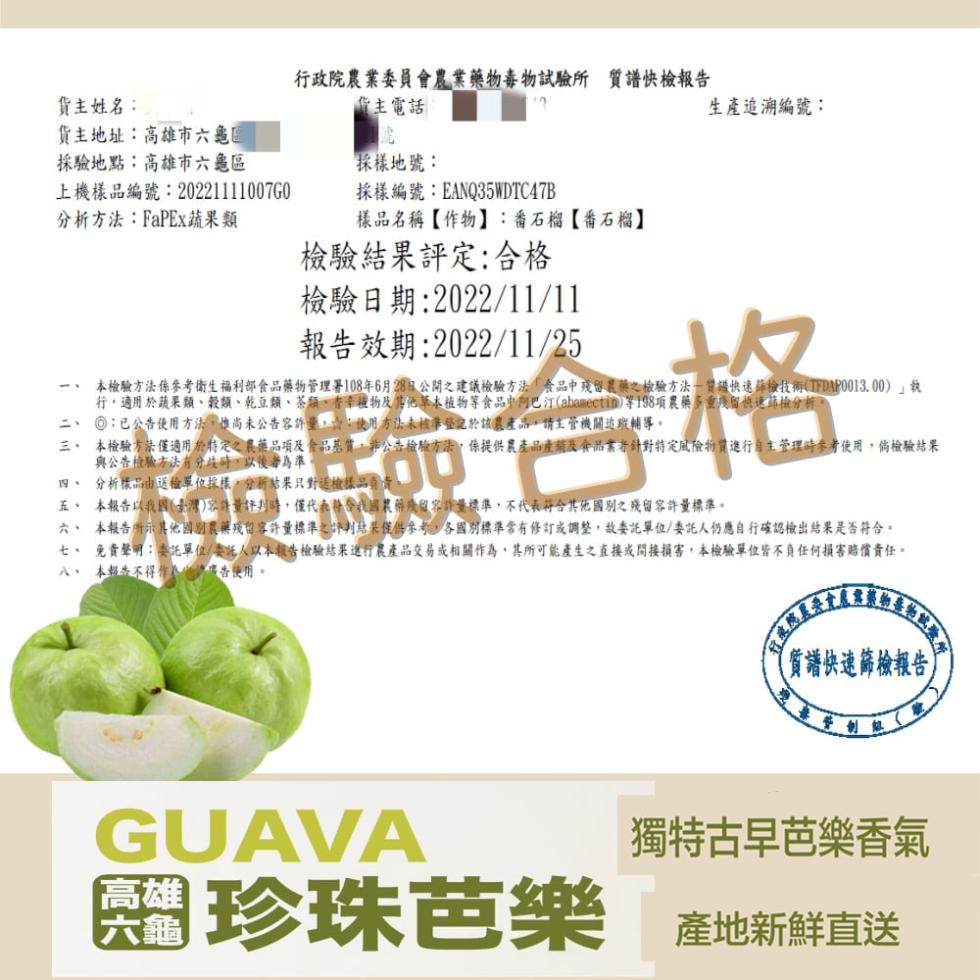 【六龜】六龜產地直送珍珠芭樂-10台斤