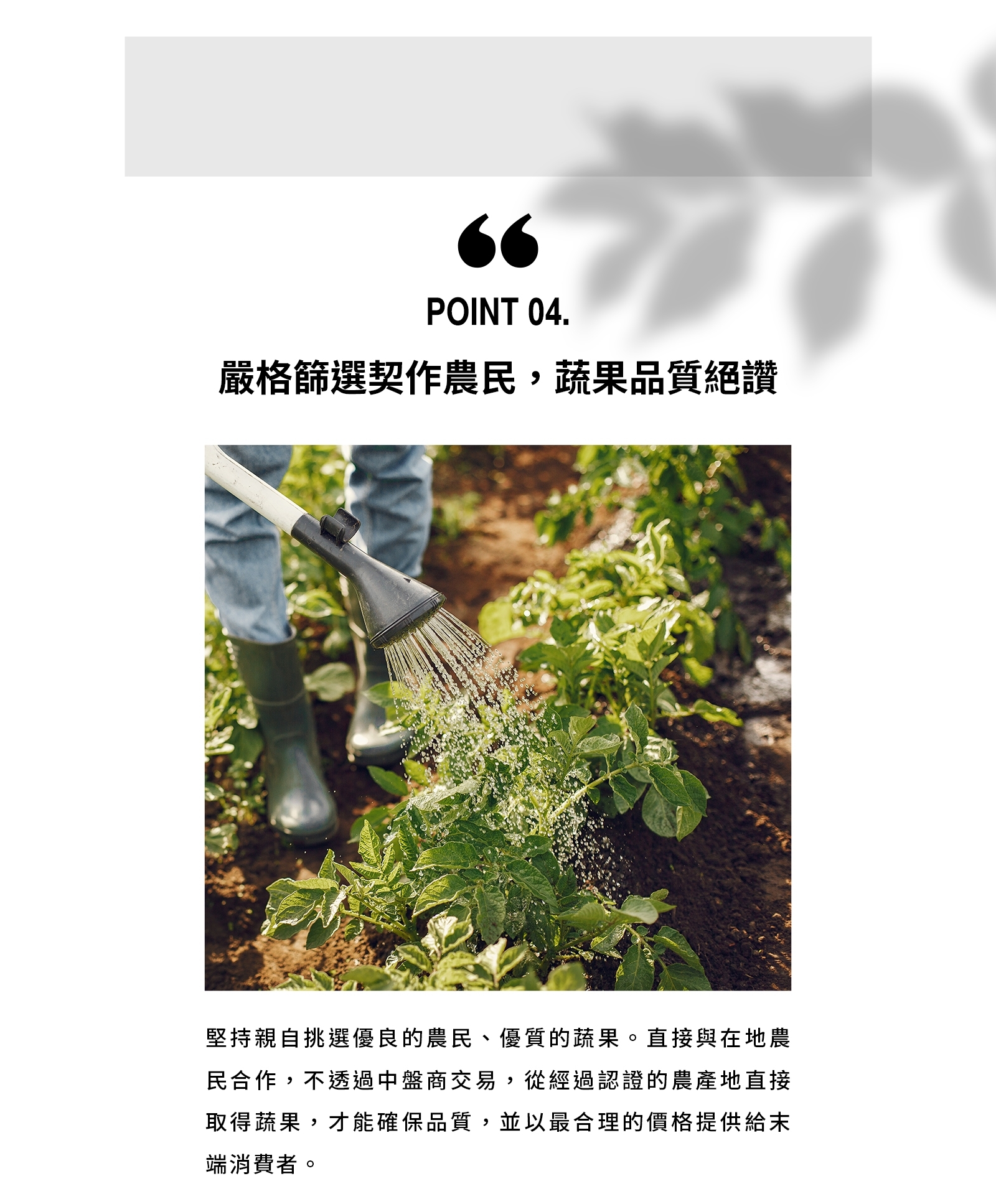 嚴格篩選契作農民,蔬果品質絕讚，堅持親自挑選優良的農民、優質的蔬果。直接與在地農，民合作,不透過中盤商交易,從經過認證的農產地直接，取得蔬果,才能確保品質,並以最合理的價格提供給末，端消費者。