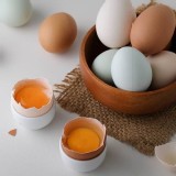 (彩色蛋-極上彩玉蛋)