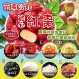 苗栗公館糖品養生系列